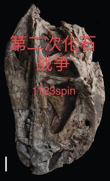 全章隐婚狂宠霸总娇妻她深藏不露
