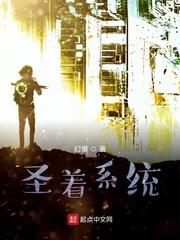 圣着系统