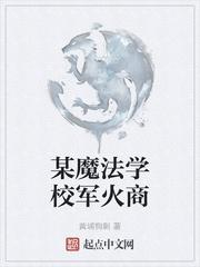 某魔法学校军火商