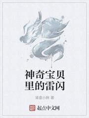 神奇宝贝里的雷闪
