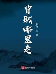 曹贼哪里走