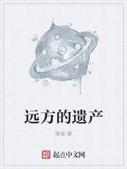 远方的遗产