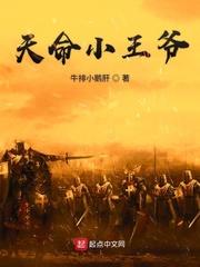 天命小王爷
